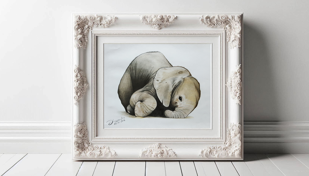 elephant baby sketch