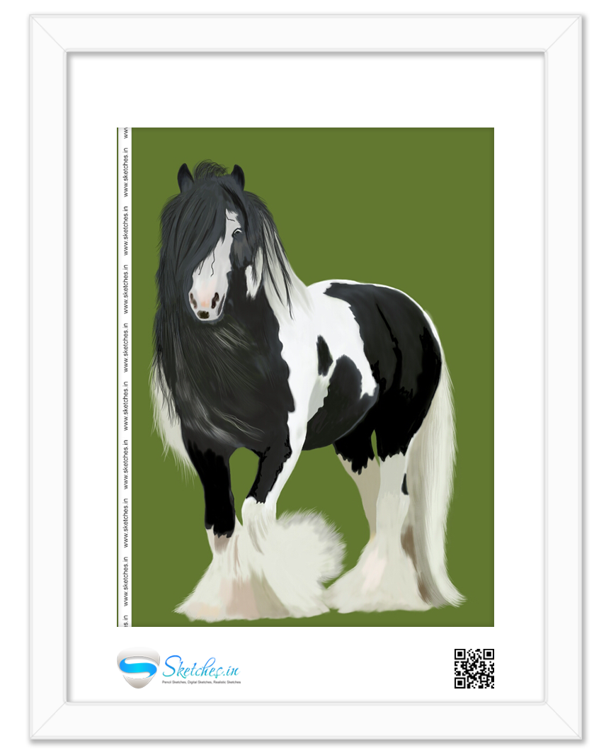 Horse Digital Sketch